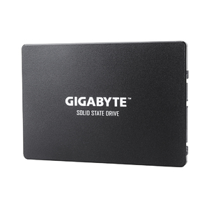 Жесткий диск GIGABYTE - GP-GSTFS31120GNTD внутренний