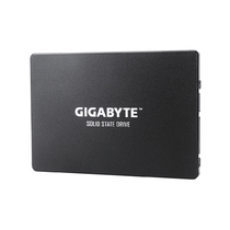 Жесткий диск GIGABYTE - GP-GSTFS31480GNTD внутренний