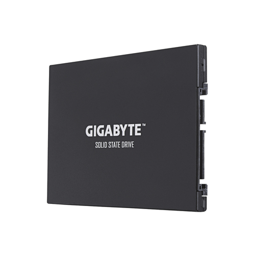 Жесткий диск GIGABYTE - GP-GSTFS30512GTTD